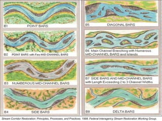 Water Transport to StreamsStream Corridor Restoration: Principles, Processes, and Practices. 1998. Federal Interagency Stream Restoration Working Group.