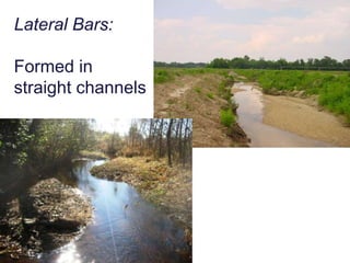 Watershed Stream NetworkNeuse River Basin, NC