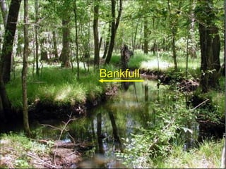 Problems with Contiguous USGS MapsHeadwater stream shown on one map and not the otherTributaries shown on one  map and not the otherMcDaniel Bald and Marble Quadrangles, Cherokee County, NCCourtesy of John Dorney and Perianne Russell, NC Division of Water Quality 