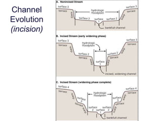 Groundwater Influences StreamflowLosing Stream			Gaining StreamGroundwater Recharge	Groundwater DischargeStream Corridor Restoration: Principles, Processes, and Practices. 1998. Federal Interagency Stream Restoration Working Group.