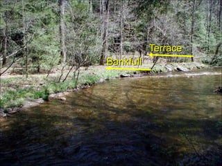 EphemeralIntermittentPerennial