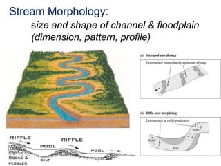 Floodplain