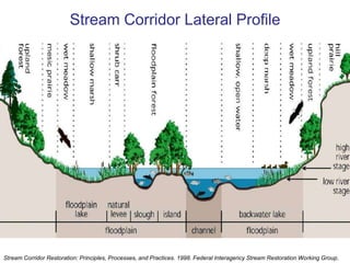 Ecosystem ServicesProvisioning – food, energy, industry