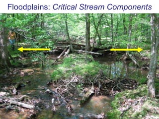 Regulating – climate, waste, nutrients