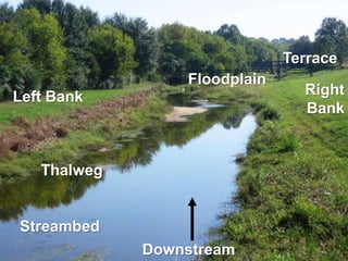 Fish Biodiversity411851501954125032236792154