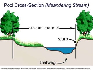 River Continuum ConceptConnectionsWatershed to Corridor to Stream