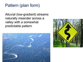 Field InvestigationsWhat is living in the stream?What are the physical and chemical conditions of the stream?