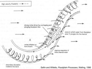 Stream EcosystemsMostly downstream fluxes of energy and matterLateral and vertical connections to the riparian and hyporheic zonesCourtesy of Francois Birgand, NCSU