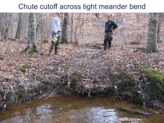 Stream FunctionsTransport waterTransport sedimentHabitat (aquatic & terrestrial)Recreation & aestheticsSafe Water Supply