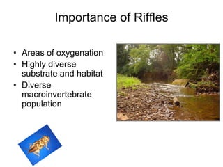 Transportation:  Movement of material by waterStream Load includes:dissolved + suspended + bed loadCapacity: maximum load that can be transported for a given discharge (increases with velocity and turbulence)Competence: largest size material that can be transported for a given dischargehttp://www.uwsp.edu/gEo/faculty/ritter/geog101/textbook/fluvial_systems/geologic_work_of_streams.html 
