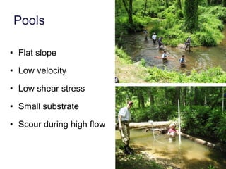 Bedload is related to Discharge for Each River