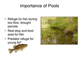 Deposition:Aggradation:  Raising the bed elevationBars:  Depositional areas that may change flow directionshttp://www.uwsp.edu/gEo/faculty/ritter/geog101/textbook/fluvial_systems/geologic_work_of_streams.html 