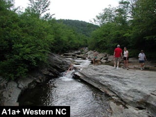 Level 2 Rosgen Classificationwww.wildlandhydrology.comwww.wildlandhydrology.com