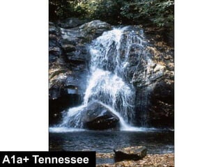 Riffle DimensionsWbkfBankfullAbkfdbkfMeasure Bankfull Width (Wbkf) and Bankfull Area (Abkf)Mean Depth,  dbkf = Abkf / WbkfWidth to Depth Ratio,  W/d = Wbkf / dbkf