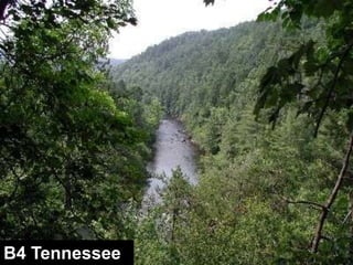 Valley Types:  (www.epa.gov/watertrain/stream_class)Valley Type VIII Wide, gentle valley slope with well-developed floodplain adjacent to river terracesFrom EPA Watershed Academy: Fundamentals of the Rosgen Stream Classification System