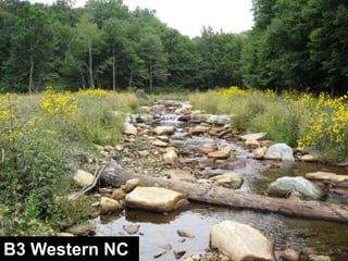 Stream Types in Landscape Positionswww.wildlandhydrology.com