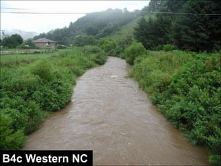 www.wildlandhydrology.com