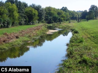Stream Types in Landscape Positionswww.wildlandhydrology.com