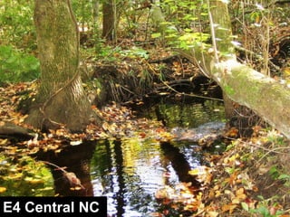 C StreamsNot Incised, Wide & Shallow, Low SlopeAlluvial Valley
