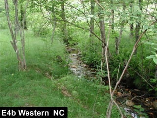 www.wildlandhydrology.com