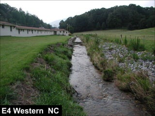 C4 Western NC