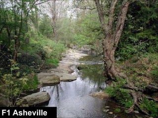 Stream Types in Landscape Positionswww.wildlandhydrology.com