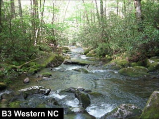 www.wildlandhydrology.com