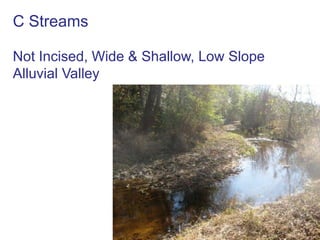 Stream Types in Landscape Positionswww.wildlandhydrology.com