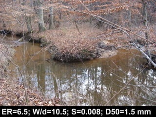 D & DA StreamsMultiple Channels, Wide & Shallow, Low SlopeD4 Virginia