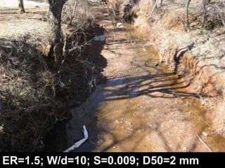 Stream Types in Landscape Positionswww.wildlandhydrology.com