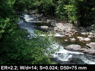 D & DA StreamsMultiple Channels, Wide & Shallow, Low SlopeD4 Virginia