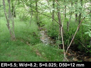 ER=1.3; W/d=7; S=0.007; D50=1.5 mm