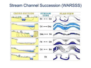 ER=1.5; W/d=10; S=0.009; D50=2 mm