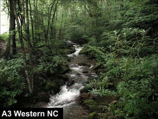 Rosgen Classification of Natural RiversDimension (cross-section)Pattern (plan form)Profile (bed form)Bed material (substrate)