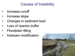 Alluvial bars and benches