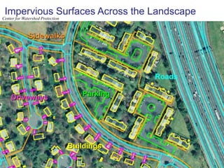 Low banks with low stressRiparian Buffer (Streamside Forest)Diverse native plants