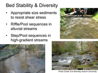 Sediment transport balance