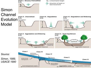 Loss of riparian buffer