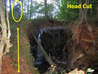 10%50%Development Impacts on the Water Cycle55%15%Courtesy NEMO, Univ. of CT