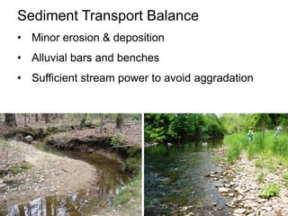 In-stream habitat & flow diversity