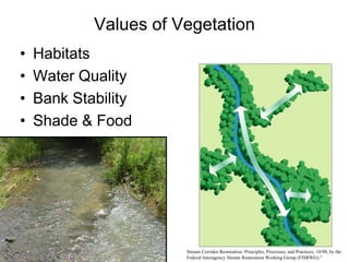 IIIIIIIIIIIIIIIIIIIIVIIIIOriginal NickpointIVVIVI