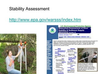 Beaver DamsWoody debris