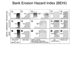 PotentialValues of VegetationHabitatsWater QualityBank StabilityShade & FoodStream Corridor Restoration: Principles, Processes, and Practices, 10/98, by the Federal Interagency Stream Restoration Working Group (FISRWG)." 