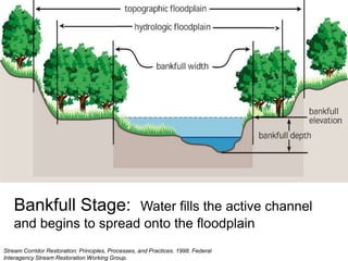 Buffers are the first line of defense against the impacts of polluted runoff