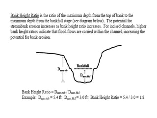 natural vegetation buffers are especially critical in urban areas