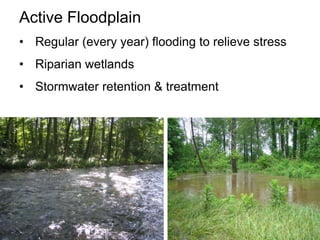 Riffle/Pool sequences in alluvial streams