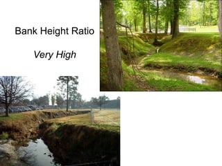 Altered States Due to DisturbanceChannelization
