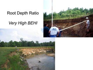 MiningFloodplain Filling
