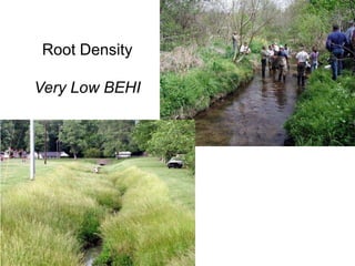 Stability Assessmenthttp://www.epa.gov/warsss/index.htm