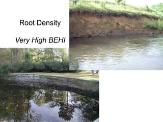 Lateral StabilityMeander Width Ratio